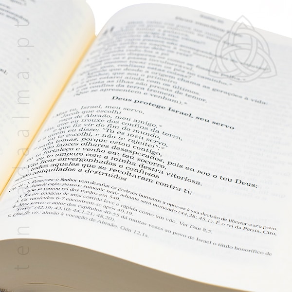 Bíblia Sagrada – Capa Rija Branco Pérola - Image 3