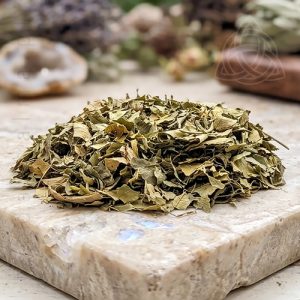 Folhas de Laranjeira – 50 grs