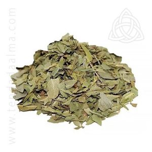 Boldo – 50 grs