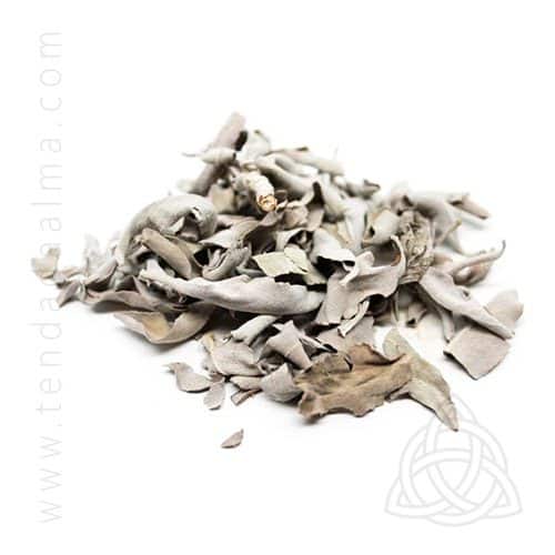 Sálvia Branca – 50 grs