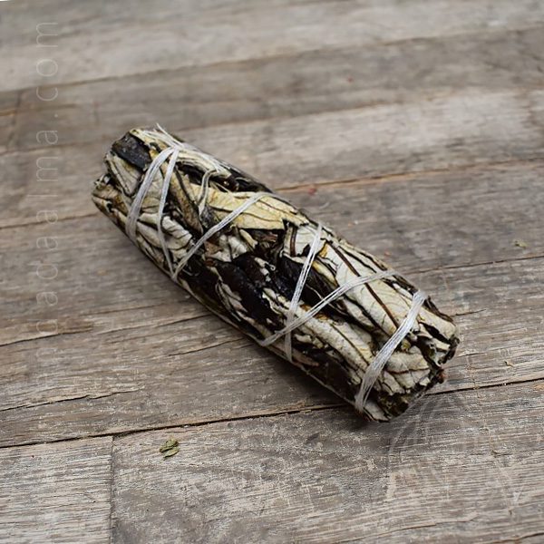 Tocha Xamânica de Yerba Santa – Pequena - Image 3